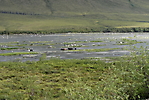 Eagle Plains à Kondile Highway_44
