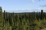 Eagle Plains à Kondile Highway_92